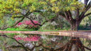 Photo of Brookgreen Gardens, One of the Most Beautiful Day Trips from Myrtle Beach.