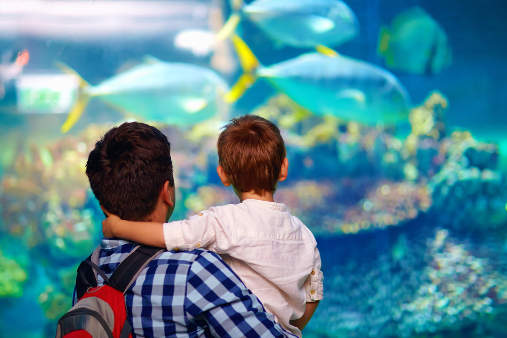 3 Kid-Friendly Activities to do in SC