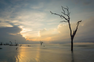 Photo of Bull Island near McClellanville, One of the Best Day Trips from Myrtle Beach.